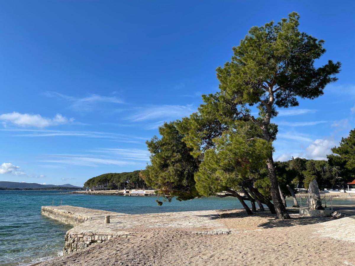 Pearl Of The Biograd Hotel Biograd Na Moru Eksteriør billede